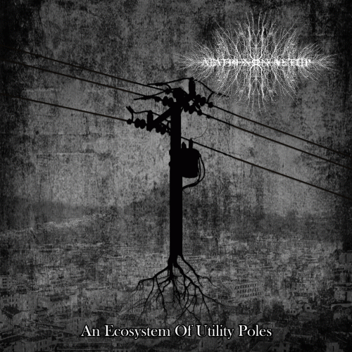 An Ecosystem of Utility Poles